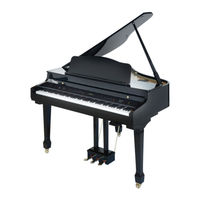 Artesia AG-28 Assembly Manual