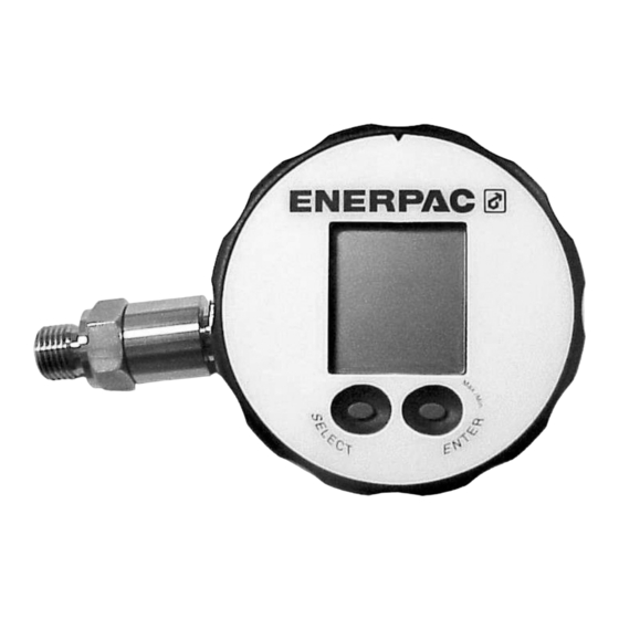 Enerpac DGR-1 Instruction Sheet