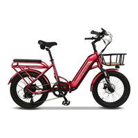 EMOJO BOBCAT PRO Owner's Manual