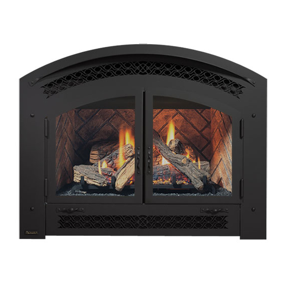 Regency Fireplace Products P90-NG10 Owners & Installation Manual