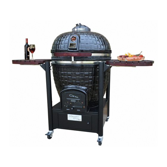 Vision grills RX-K18F1M4 Setup