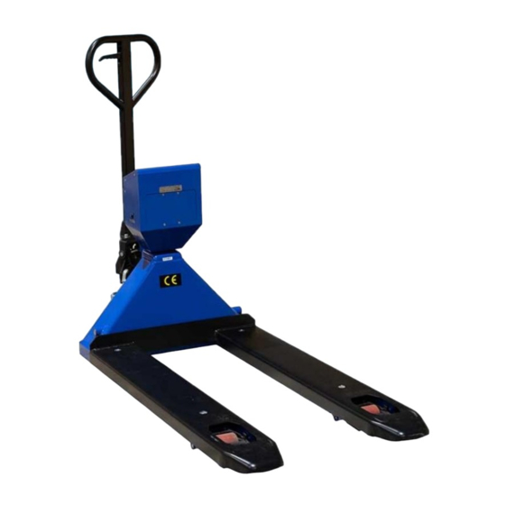 WorldWEIGH T100-WF Instruction Manual