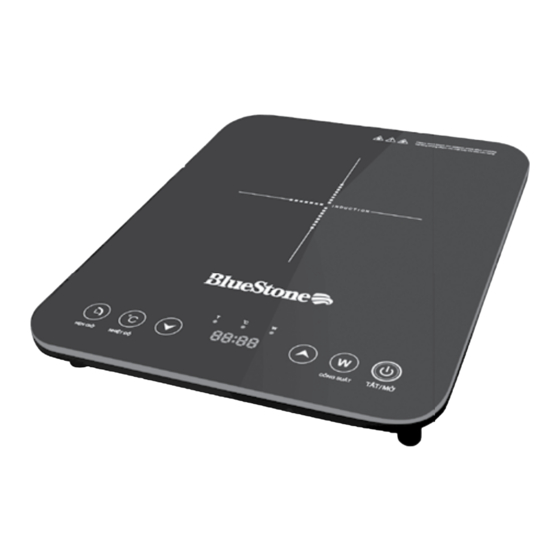Bluestone ICB-6628 User Manual