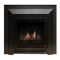 Real Flame Captiva 900 Installation & Operating Manual