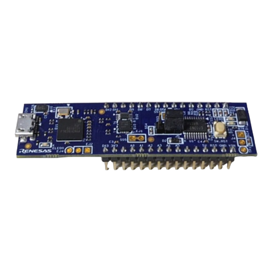 Renesas RL78/G1N User Manual