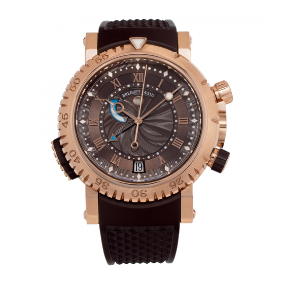 Breguet 5847 Instructions For Use Manual