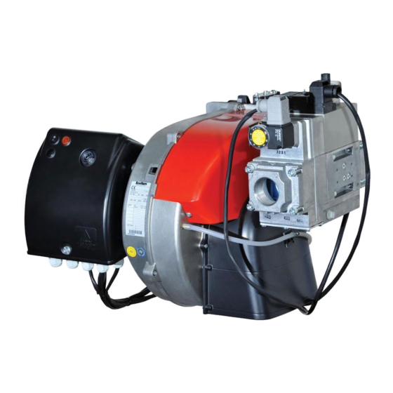 Ecoflam MAX GAS 350 P Technical Manual
