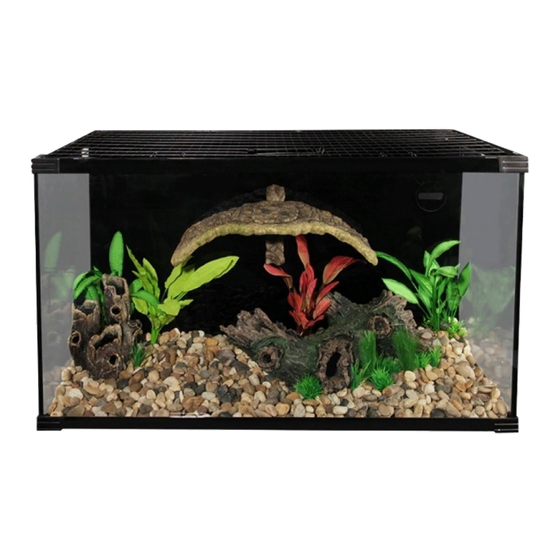 Reptile One Michaelangelo 60 Setting Up