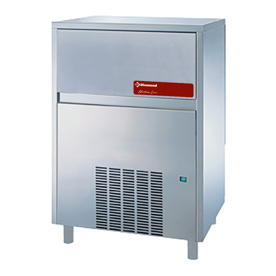 Diamond ICEV250A Instructions For Installation, Use And Maintenance Manual