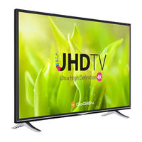 Gogen TVU55V298STWEB Instruction Manual