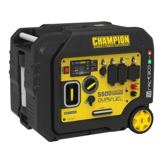 Champion 201273 Quick Start