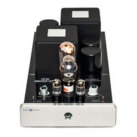Cary Audio Design CAD-805AE Owner's Manual