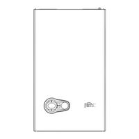 Ferroli BLUEHELIX PRO S 25C Instructions For Use, Installation & Maintenance