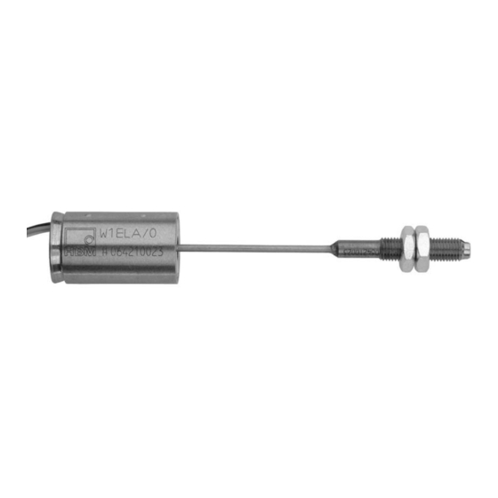 HBM W1ELA/0 Mounting Instructions
