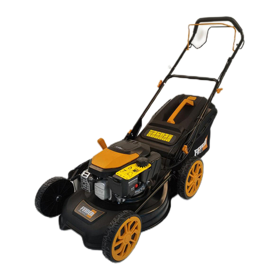 Feider Machines FTDT5173VS User Manual