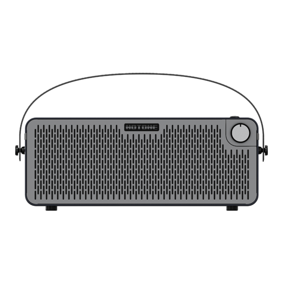 Hotone PULZE AP-30BK User Manual