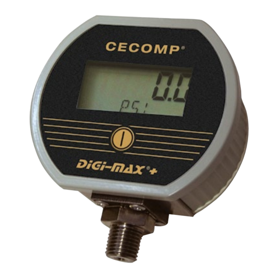 Absolute Process Instruments Cecomp DPG2000B Series Instructions