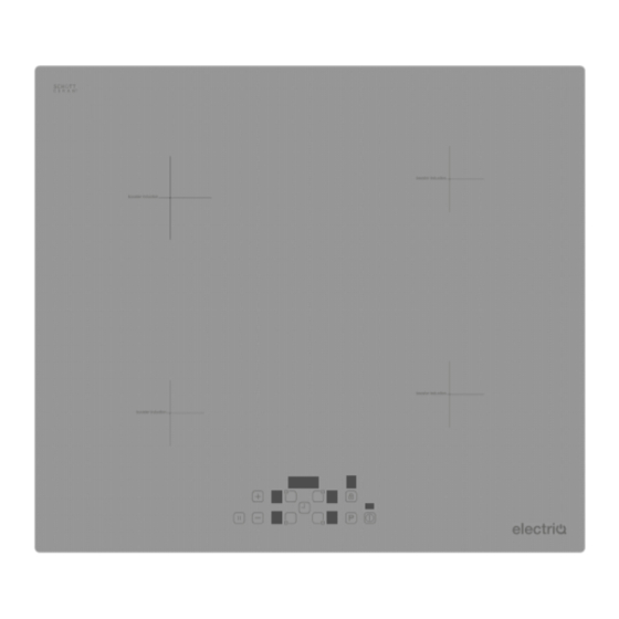 ElectrIQ EQINDTOUCH60LG User Manual