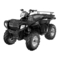 Polaris Sportsman 700 Efi 2005