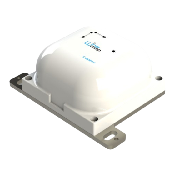 Capetti Elettronica WSD10TII User Manual