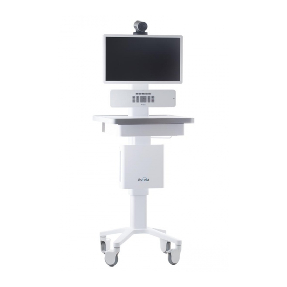 Avizia CA310 User's Installation Manual