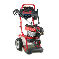 Troy-Bilt PW101-2010 Operator's Manual