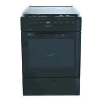 Defy FLAMEMASTER DGS606 Instruction Manual