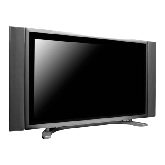 Vizio P42 User Manual