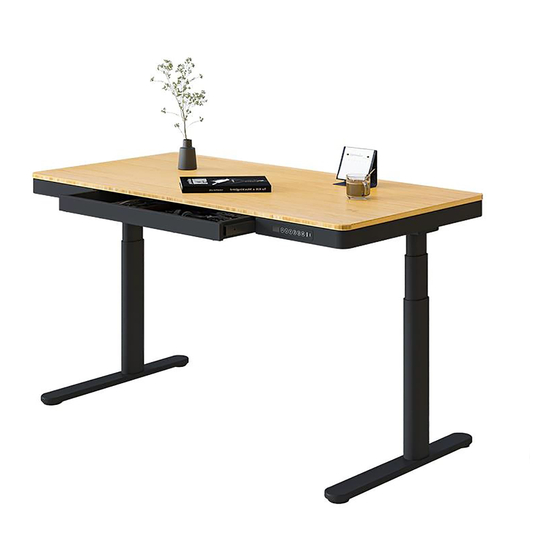Flexispot Q8B-EU User Manual