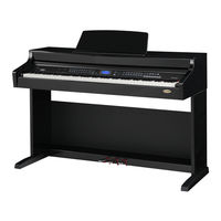Classic Cantabile DP-A 410 User Manual