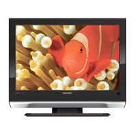 Magnavox 19MF338B User Manual