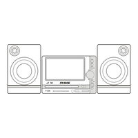 RSQ P-300 User Manual
