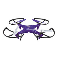 sky rider FALCON 2 PRO User Manual
