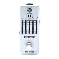 FAME GIT0036604-000 User Manual
