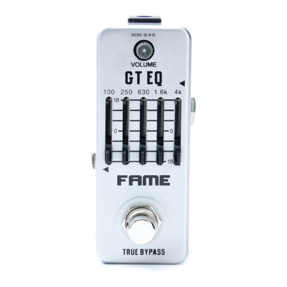 FAME Equalizer LEF-317 User Manual