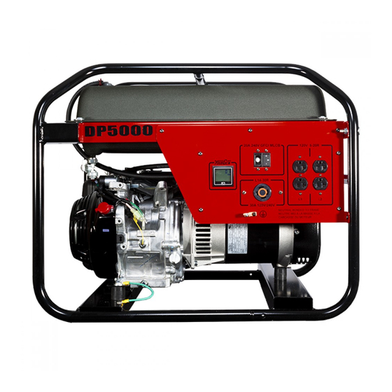 Winco DP5000/T Installation And Operator's Manual