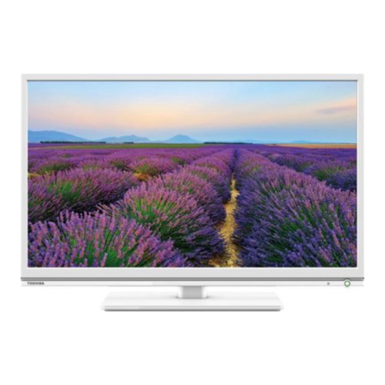 Toshiba 24D153 DG Series Online Manual