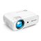 Vankyo Leisure 430 - Projector Manual