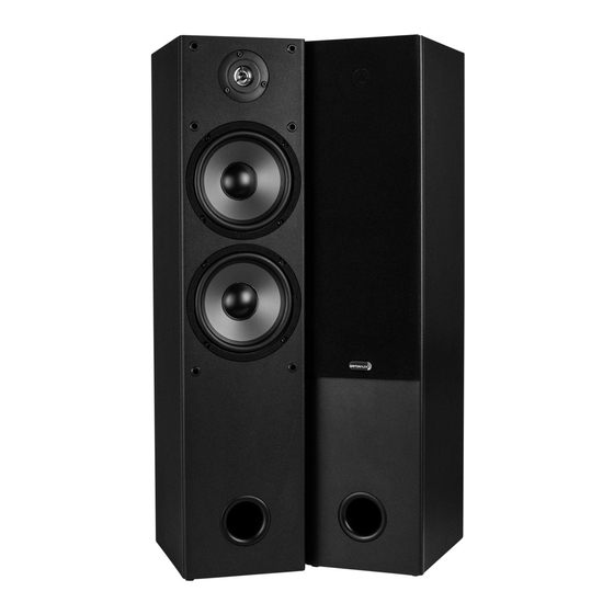 DaytonAudio T652-AIR User Manual