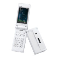 Panasonic W51P Basic Manual