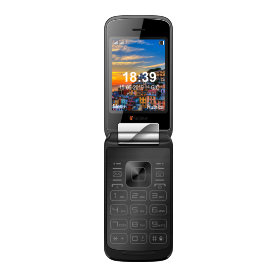 NGM MAXI Quick Manual