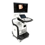 GE Vivid E95 Tips