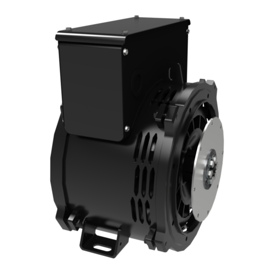 Mecc Alte NPE32 Series User Manual