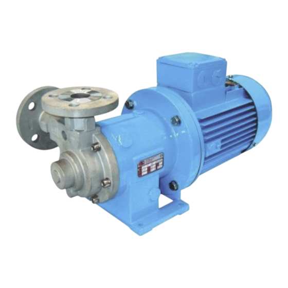 M Pumps T MAG-M Series User Manual