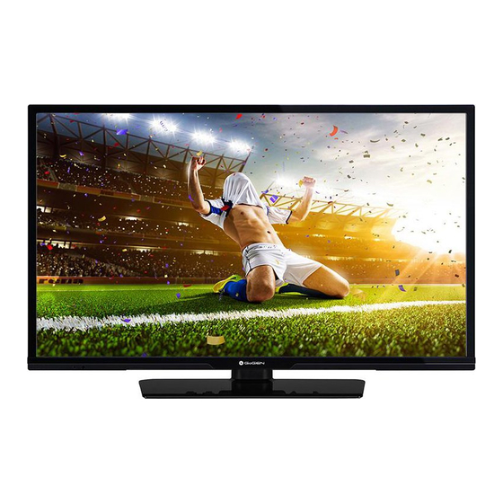 Gogen TVH32R15FE LED Smart TV Manuals