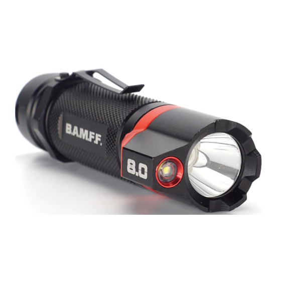 Striker B.A.M.F.F. 4.0 Quick Start Manual