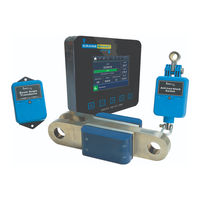 Cranesmart Systems LMI System User Manual