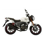 Zhejiang Qianjiang Motorcycle RKV 200 Service Manual