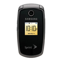 Samsung Sprint Vision M300 User Manual