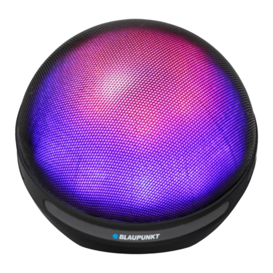 Blaupunkt BT08LED Owner's Manual